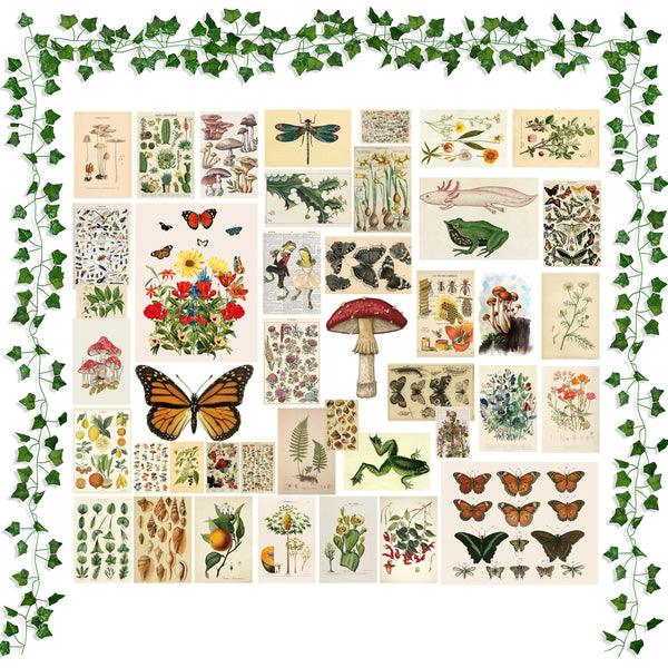 PANTIDE 45Pcs Vintage Botanical Wall Collage Aesthetic with Fake Vines Small Poster Photo Dorm Trendy Cottagecore Wall Art Print Colorful Pictures Collage Retro Room Bedroom Decor for Teens Boys Girls