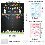 PANTIDE Little Bunny Gender Reveal Party Games for Guests Cast Your Vote He or She Gender Reveal Poster with Team Boy or Team Girl Easter Bunny Voting Stickers for Spring Baby Shower Party Supplies
