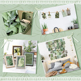 PANTIDE 50Pcs Sage Green Matcha Aesthetic Wall Collage Kit Poster Photo Dorm Trendy Cottagecore Wall Art Print Colorful Pictures Collage Avocado Green Room Bedroom Decor for Teen Girls Boys, 4x6 Inch